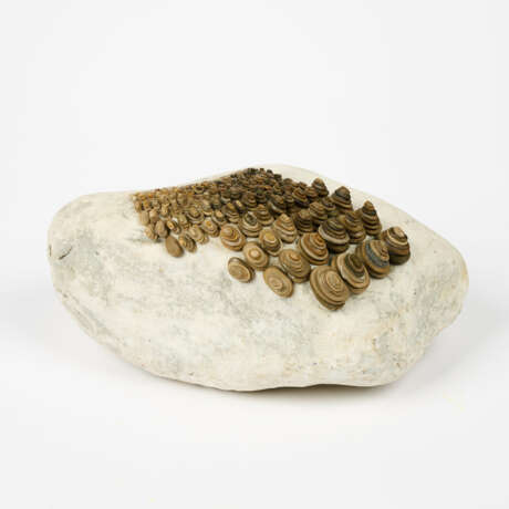 Mary Bauermeister. Beseelung - photo 1 Mary Bauermeister. Beseelung - photo 1