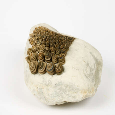 Mary Bauermeister. Beseelung - photo 2 Mary Bauermeister. Beseelung - photo 2