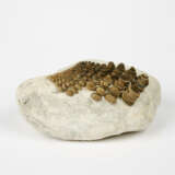 Mary Bauermeister. Beseelung - photo 5