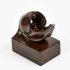 Benito Viliano Tarabella. Orchidee Paphiopedilum