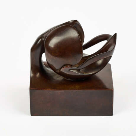 Benito Viliano Tarabella. Orchidee Paphiopedilum - Foto 2 Benito Viliano Tarabella. Orchidee Paphiopedilum - Foto 2