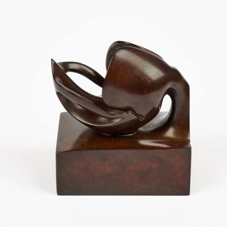 Benito Viliano Tarabella. Orchidee Paphiopedilum - Foto 4 Benito Viliano Tarabella. Orchidee Paphiopedilum - Foto 4