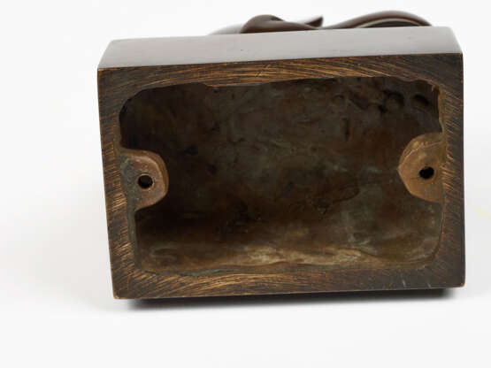 Benito Viliano Tarabella. Orchidee Paphiopedilum - Foto 6 Benito Viliano Tarabella. Orchidee Paphiopedilum - Foto 6