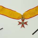 Mecklenburg: Greifen-Orden, Komtur Kreuz. - Foto 3