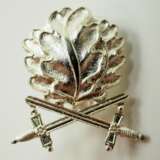 57er: Eichenlaub und Schwerter zum Ritterkreuz des Eisernen Kreuzes. - photo 1