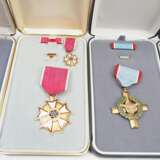 USA: Lot Auszeichnungen. - photo 3