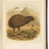 BULLER, Walter Lawry, Sir (1838-1906). - photo 2