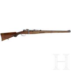 Repetierstutzen Steyr GK Mod. 1910