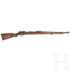 Walther DSM 34, Deutsches Sportmodell