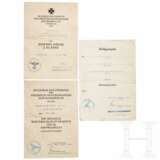 An extensive collection of award documents - photo 2