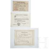 An extensive collection of award documents - photo 15