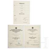An extensive collection of award documents - photo 16