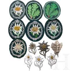 A Gebirgsjäger, Jägertruppe and SA/HJ insignia collection