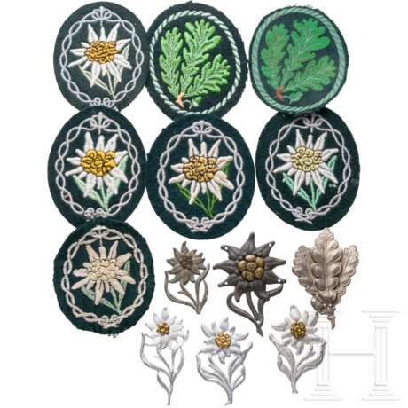 A Gebirgsjäger, Jägertruppe and SA/HJ insignia collection - photo 1 A Gebirgsjäger, Jägertruppe and SA/HJ insignia collection - photo 1