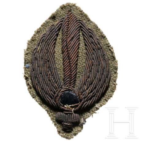 An RSI cap badge for officers of the paratroopers - Foto 1