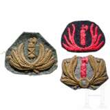 Three cap/beret insignia of the Brigate nere - photo 1