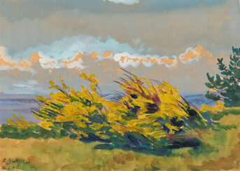 Elisabeth Büchsel. Blooming Brooms in the Wind on Hiddensee