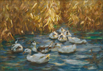 Alexander Max Koester. Ducks in Glowing Autumn Reed