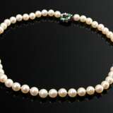 Zuchtperlen Choker an Weißgold 750 Schließe mit Br… - Foto 2