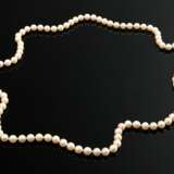 Endless cultured pearl necklace, 72.5g, L. 92cm, Ø… - фото 1