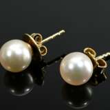 Pair of yellow gold 585 cultured pearl stud earrin… - фото 1