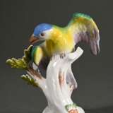 Meissen figurine ‘Bird of paradise on a branch bas… - photo 1