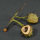 Trompe l'oeil ‘Chestnut’, naturalistic in shape an… - фото 3