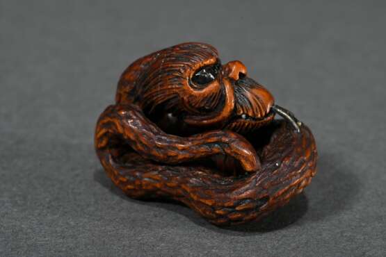Boxwood netsuke ‘Reclining Dragon’ with split silv… - photo 2 Boxwood netsuke ‘Reclining Dragon’ with split silv… - photo 2