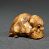 Walrus tooth netsuke ‘Puppy with Awabi Snail’ in t… - photo 2