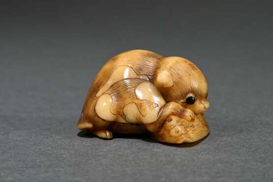 Walrus tooth netsuke ‘Puppy with Awabi Snail’ in t… - photo 2