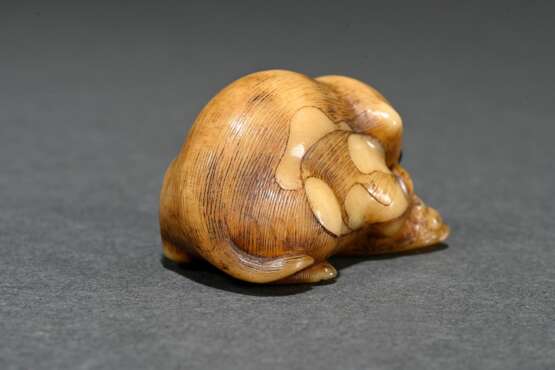 Walrus tooth netsuke ‘Puppy with Awabi Snail’ in t… - photo 3
