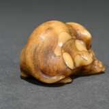 Walrus tooth netsuke ‘Puppy with Awabi Snail’ in t… - photo 3