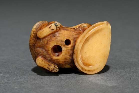 Walrus tooth netsuke ‘Puppy with Awabi Snail’ in t… - photo 4