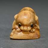 Walrus tooth netsuke ‘Puppy with Awabi Snail’ in t… - photo 5