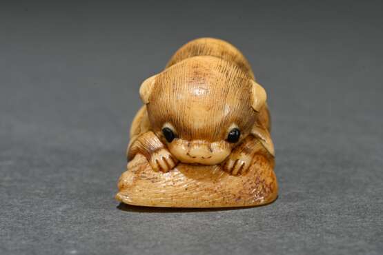 Walrus tooth netsuke ‘Puppy with Awabi Snail’ in t… - photo 5