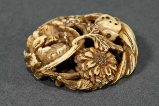 Manju netsuke carved on all sides from deer antler… - photo 3