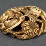 Manju netsuke carved on all sides from deer antler… - photo 3