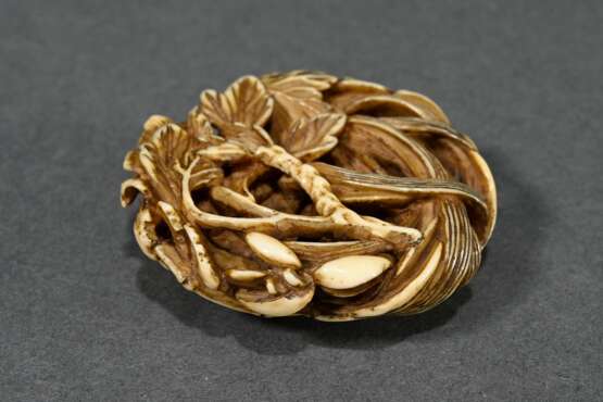 Manju netsuke carved on all sides from deer antler… - photo 4