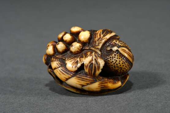 Deer horn Manju netsuke ‘Loquats, persimmons and b… - photo 1