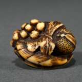 Deer horn Manju netsuke ‘Loquats, persimmons and b… - photo 1