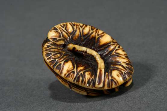Deer horn Manju netsuke ‘Loquats, persimmons and b… - photo 2
