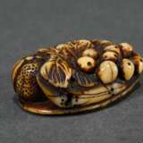 Deer horn Manju netsuke ‘Loquats, persimmons and b… - photo 3