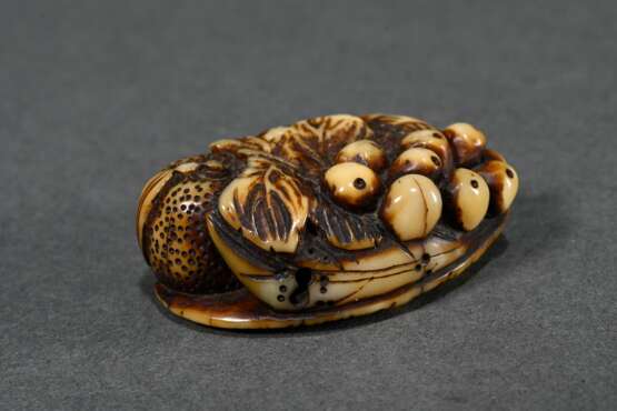 Deer horn Manju netsuke ‘Loquats, persimmons and b… - photo 3