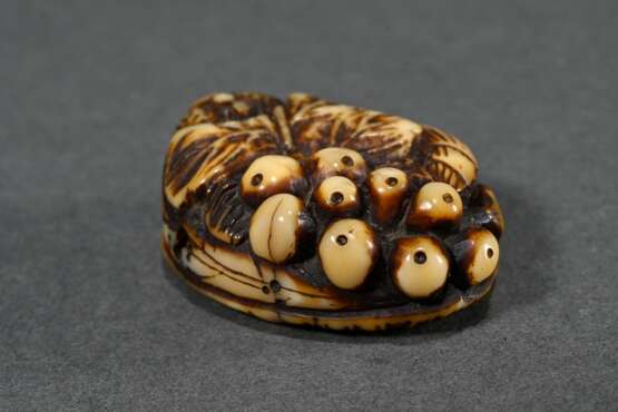 Deer horn Manju netsuke ‘Loquats, persimmons and b… - photo 4