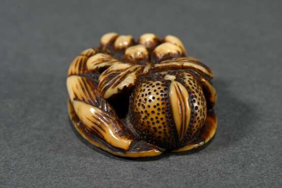 Deer horn Manju netsuke ‘Loquats, persimmons and b… - photo 5
