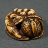 Deer horn Manju netsuke ‘Loquats, persimmons and b… - photo 5
