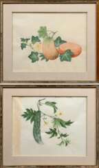 2 Various watercolours by an unknown Chinese artis…