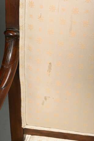 Pair of French armchairs with sculpted swan armres… - фото 3