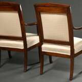Pair of French armchairs with sculpted swan armres… - фото 6