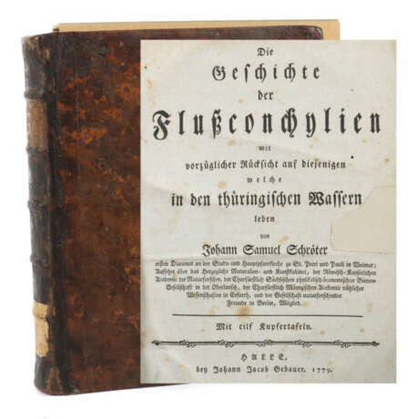Schröter, Johann Samuel Die Geschichte der Flussconchylien mit vorzügl… - Foto 1 Schröter, Johann Samuel Die Geschichte der Flussconchylien mit vorzügl… - Foto 1